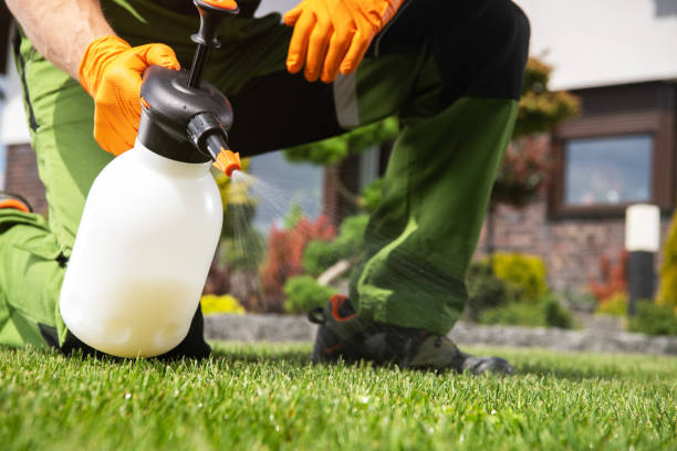 Professional Pest Control in South Nyack, NY