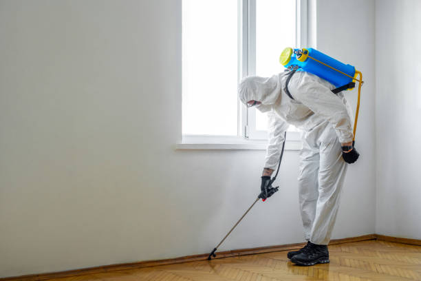 Best Pest Inspection Near Me  in South Ack, NY