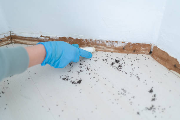 Best Best Pest Control Companies  in South Ack, NY